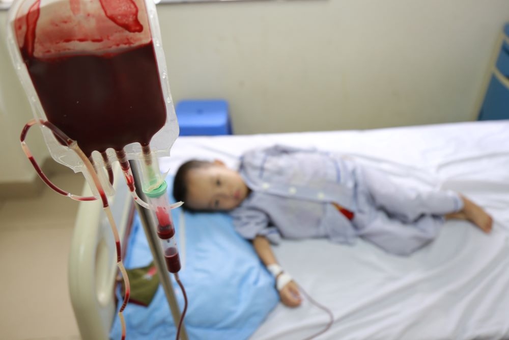 Trên 13% người Việt Nam mang gen bệnh tan máu bẩm sinh